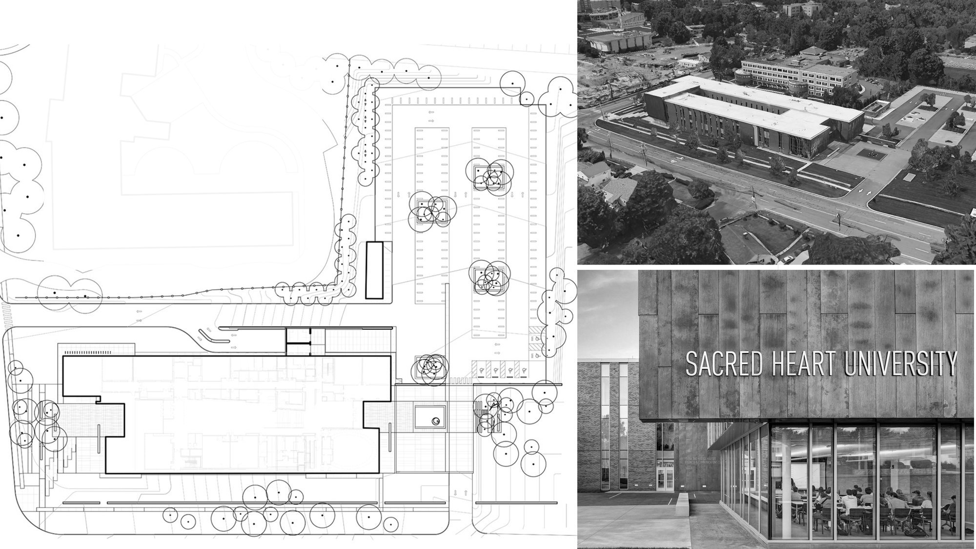 Sacred Heart University Business School Landscape — image 18 of 23