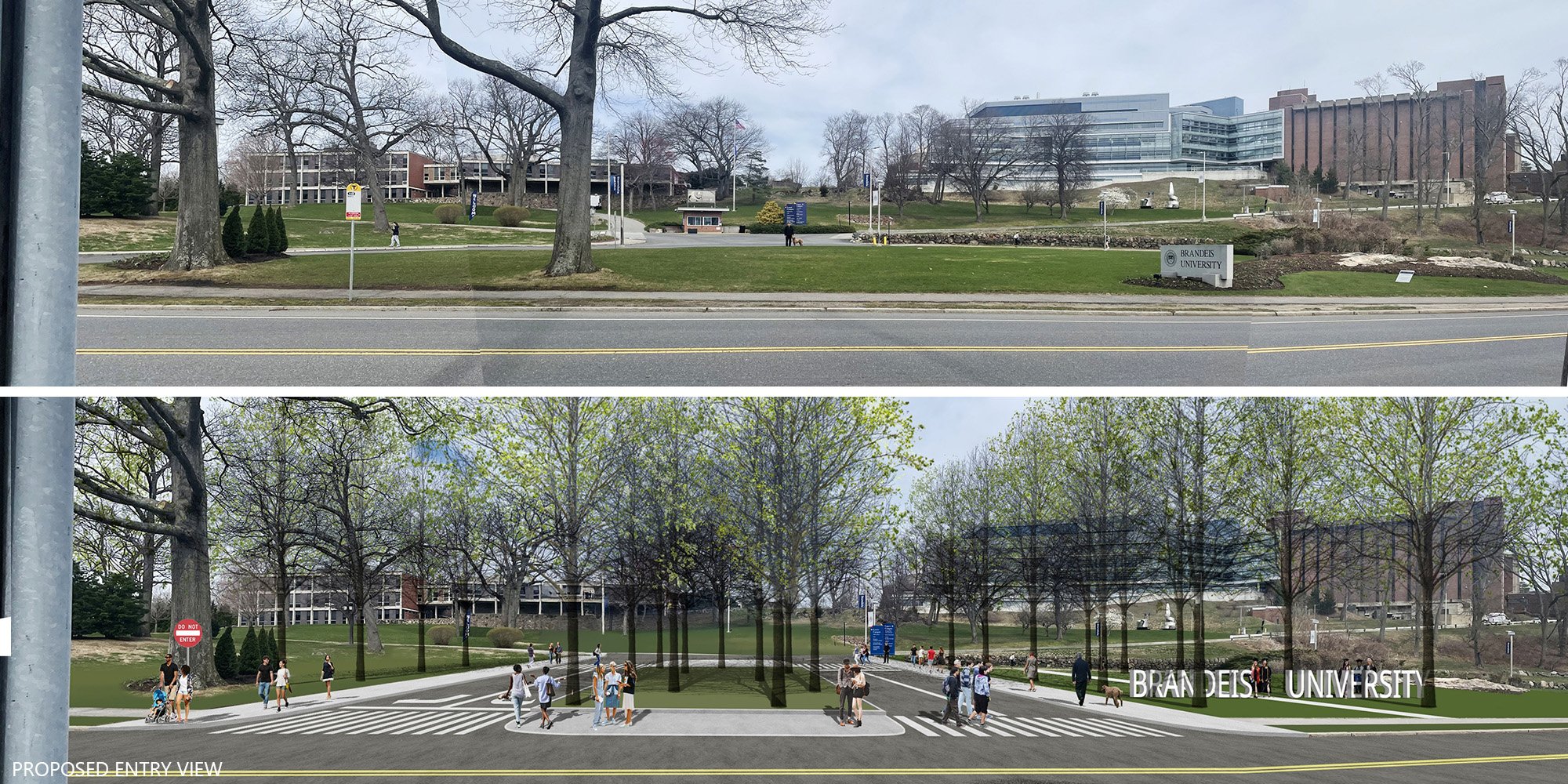 Brandeis University Campus Entry and Circulation Study — image 6 of 13