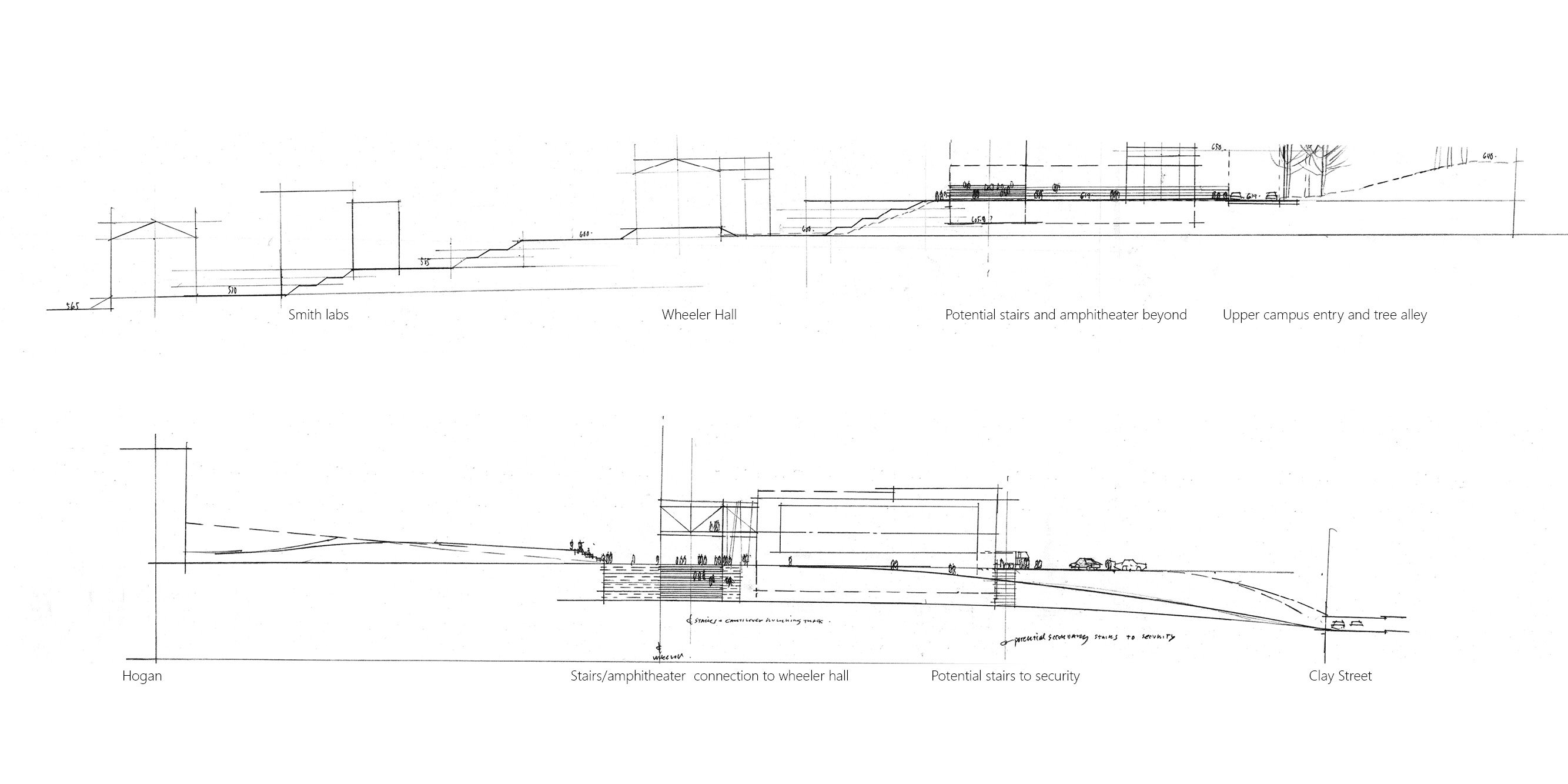 College of the Holy Cross Recreation Center Landscape — image 4 of 13