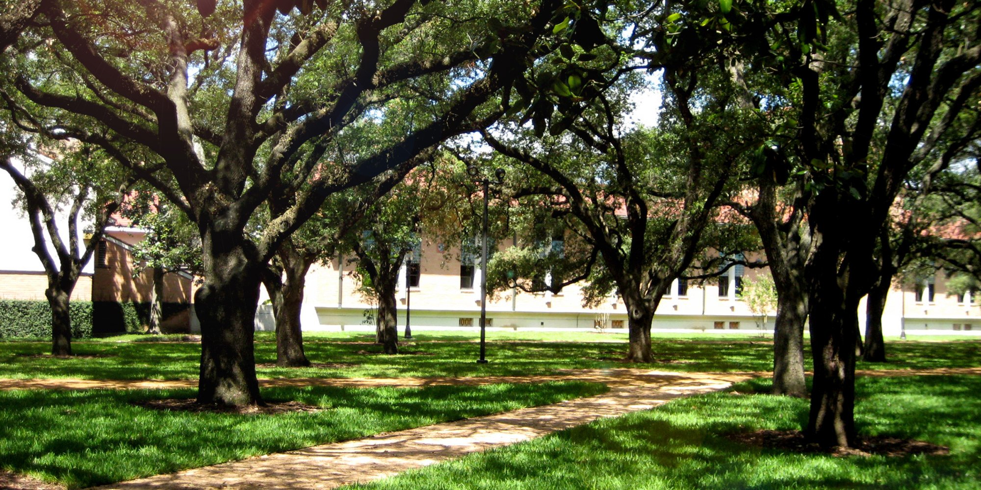 Rice University South Residential District Landscape — image 6 of 6