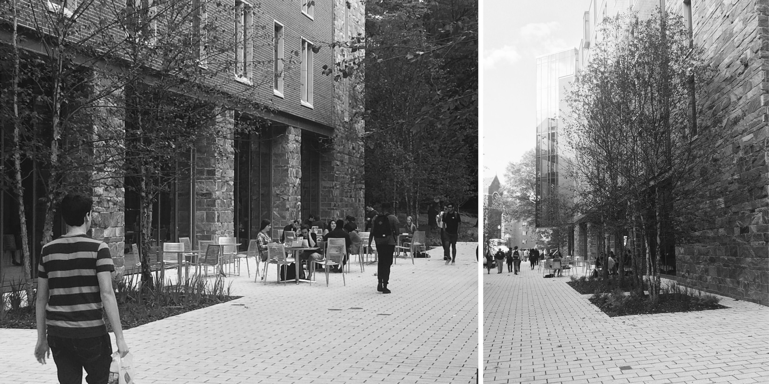 Georgetown Healy Lawn Restoration — image 17 of 18
