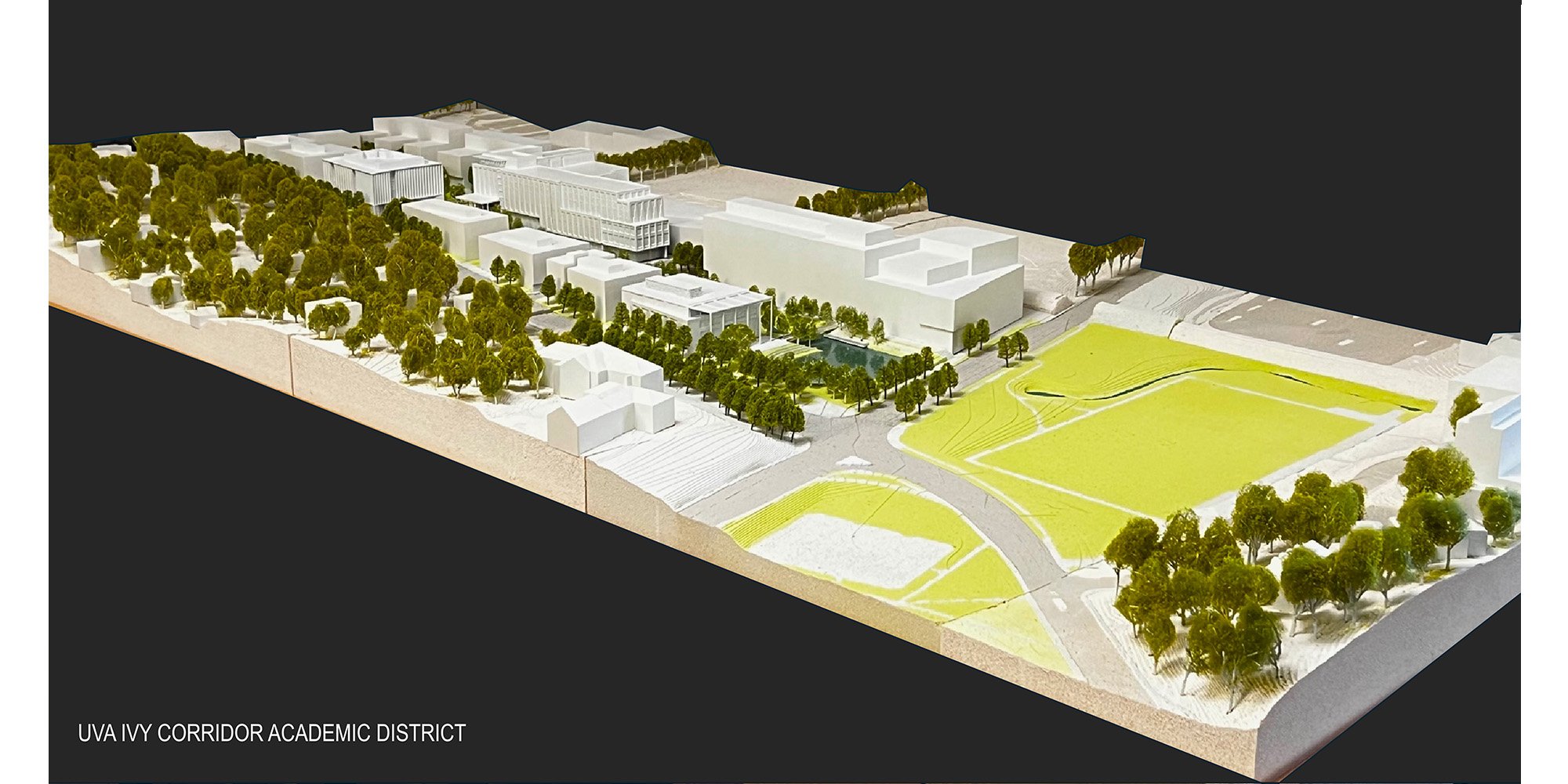 University of Virginia Ivy Corridor District Landscape — image 6 of 19