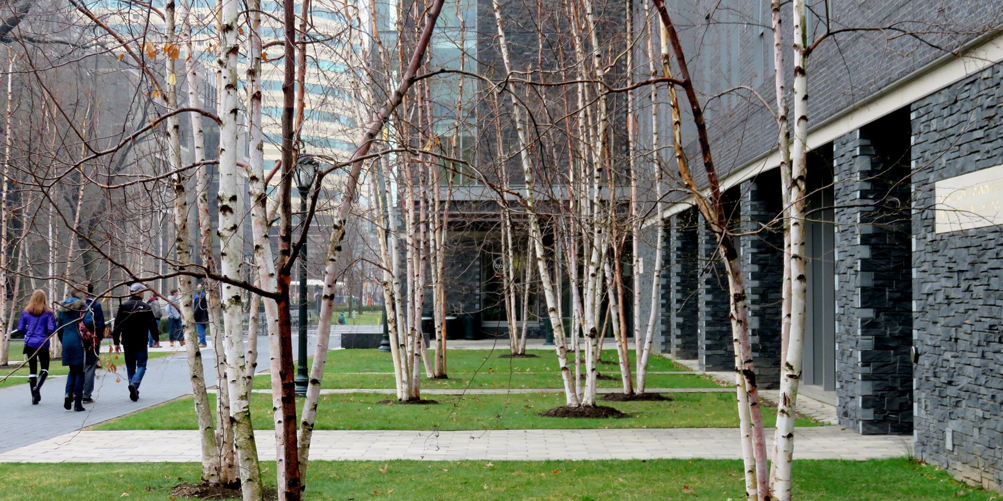 Fordham University Residential District Landscape — image 5 of 11