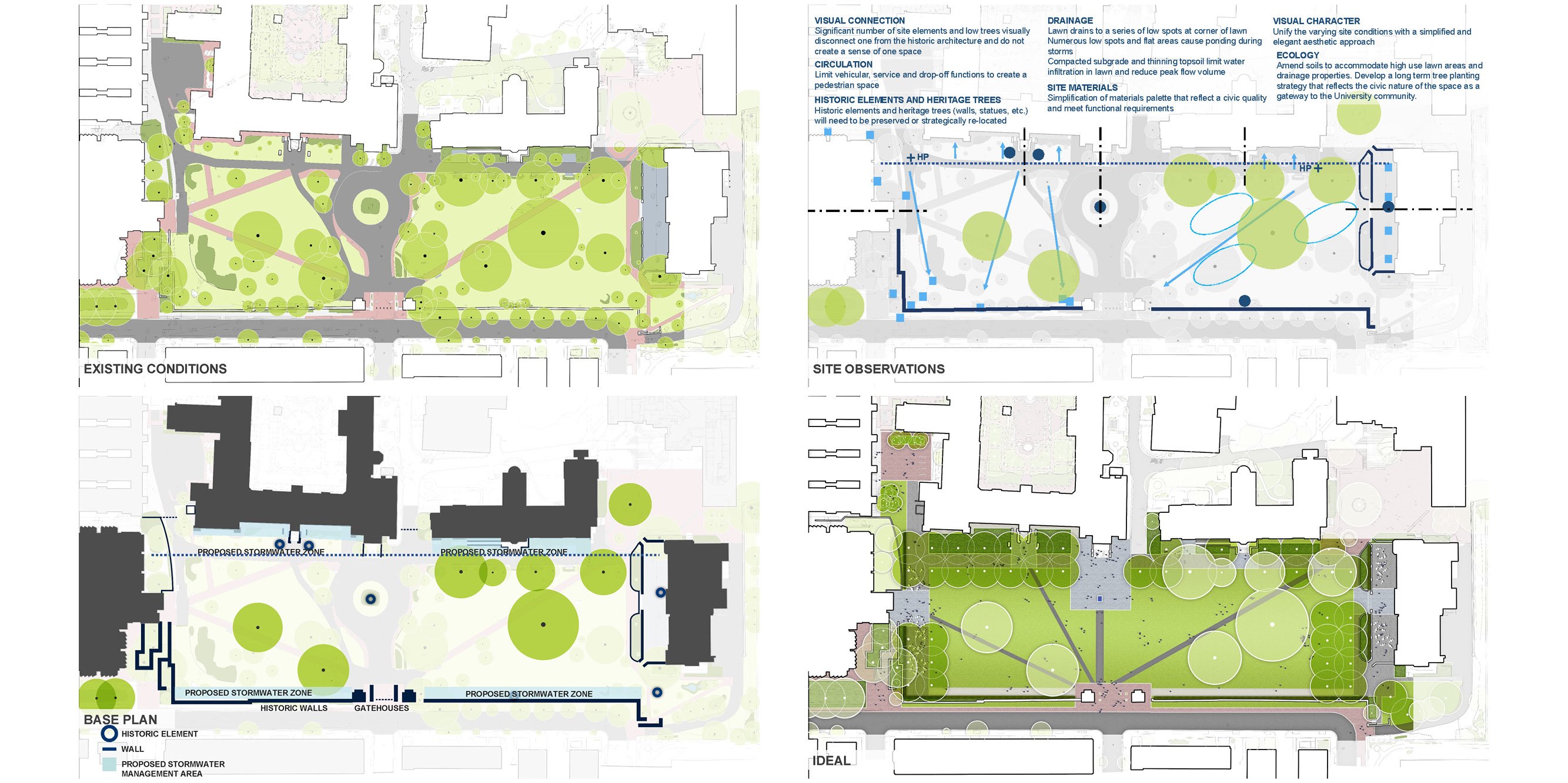 Georgetown Healy Lawn Restoration — image 3 of 18