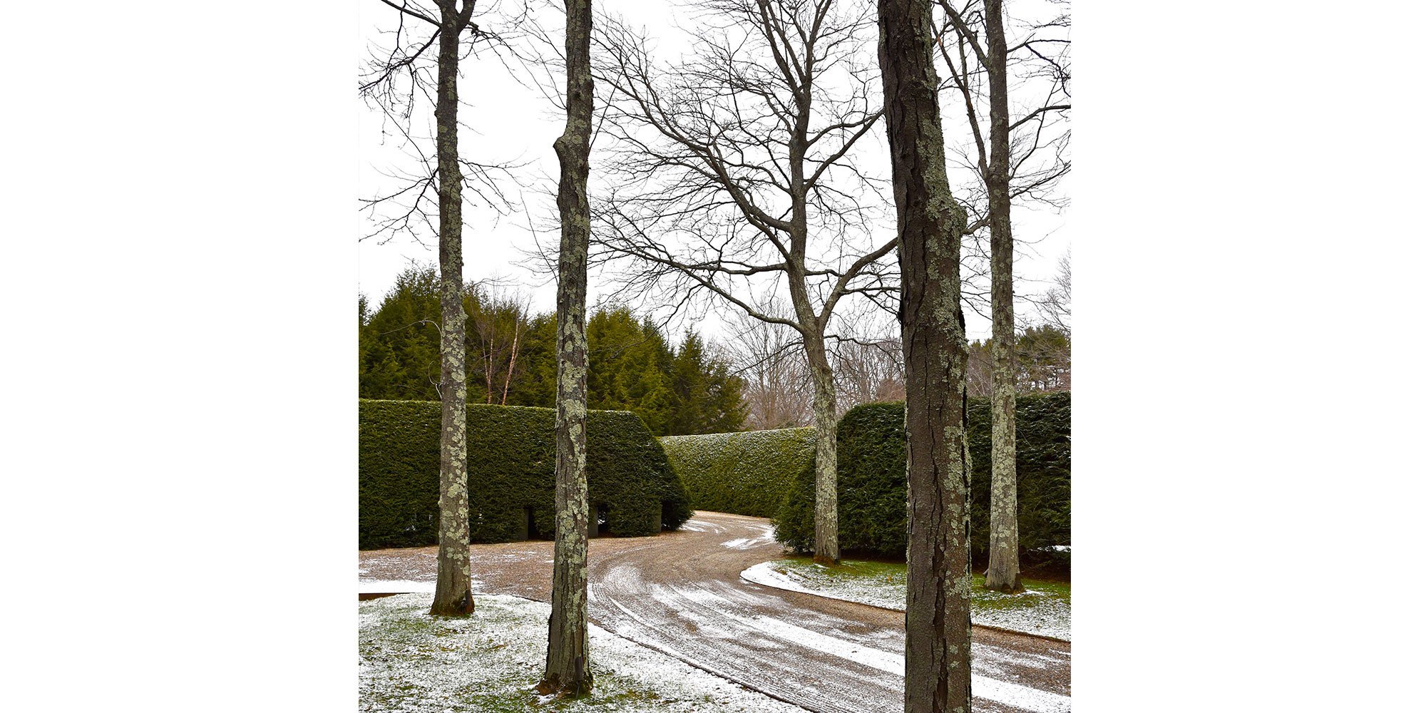 South Hamilton Courtyards — image 3 of 6