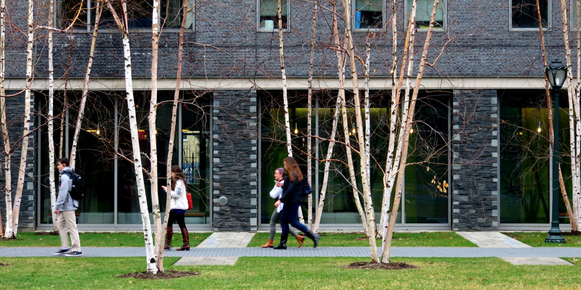 Fordham University Residential District Landscape — image 6 of 11