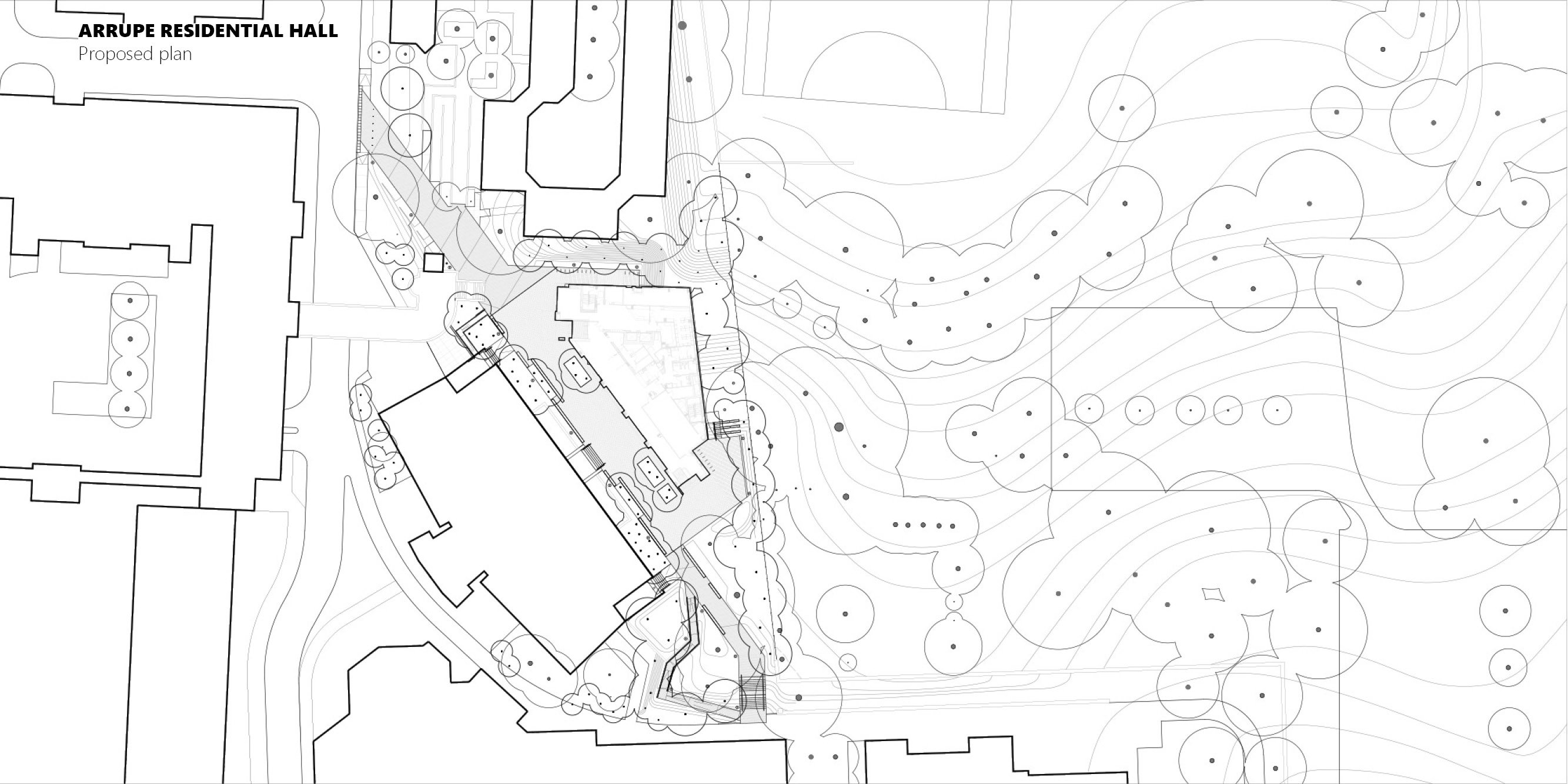 Georgetown Healy Lawn Restoration — image 14 of 18