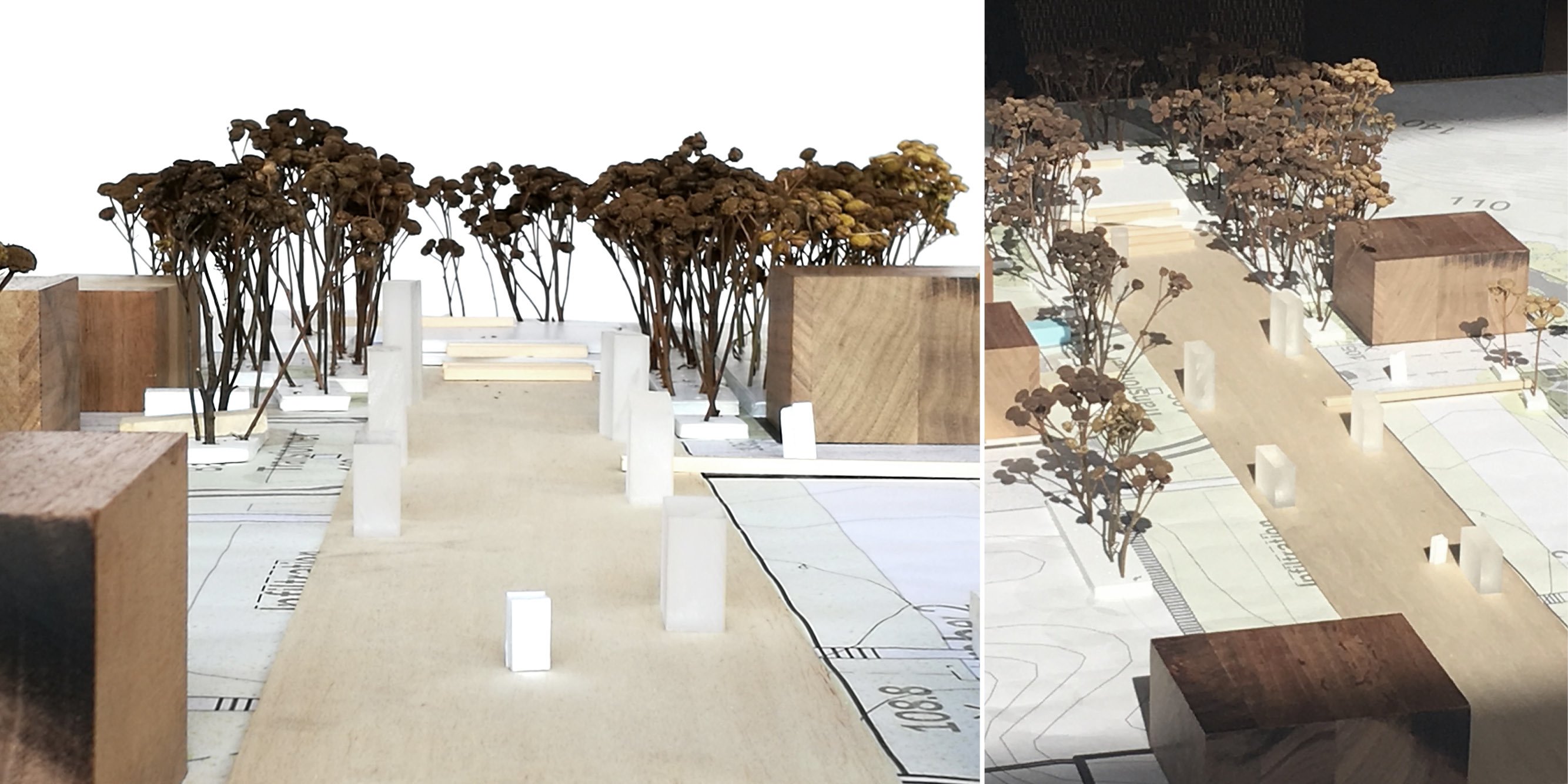 Harbor Farm Landscape Master Plan and Implementation — image 10 of 12