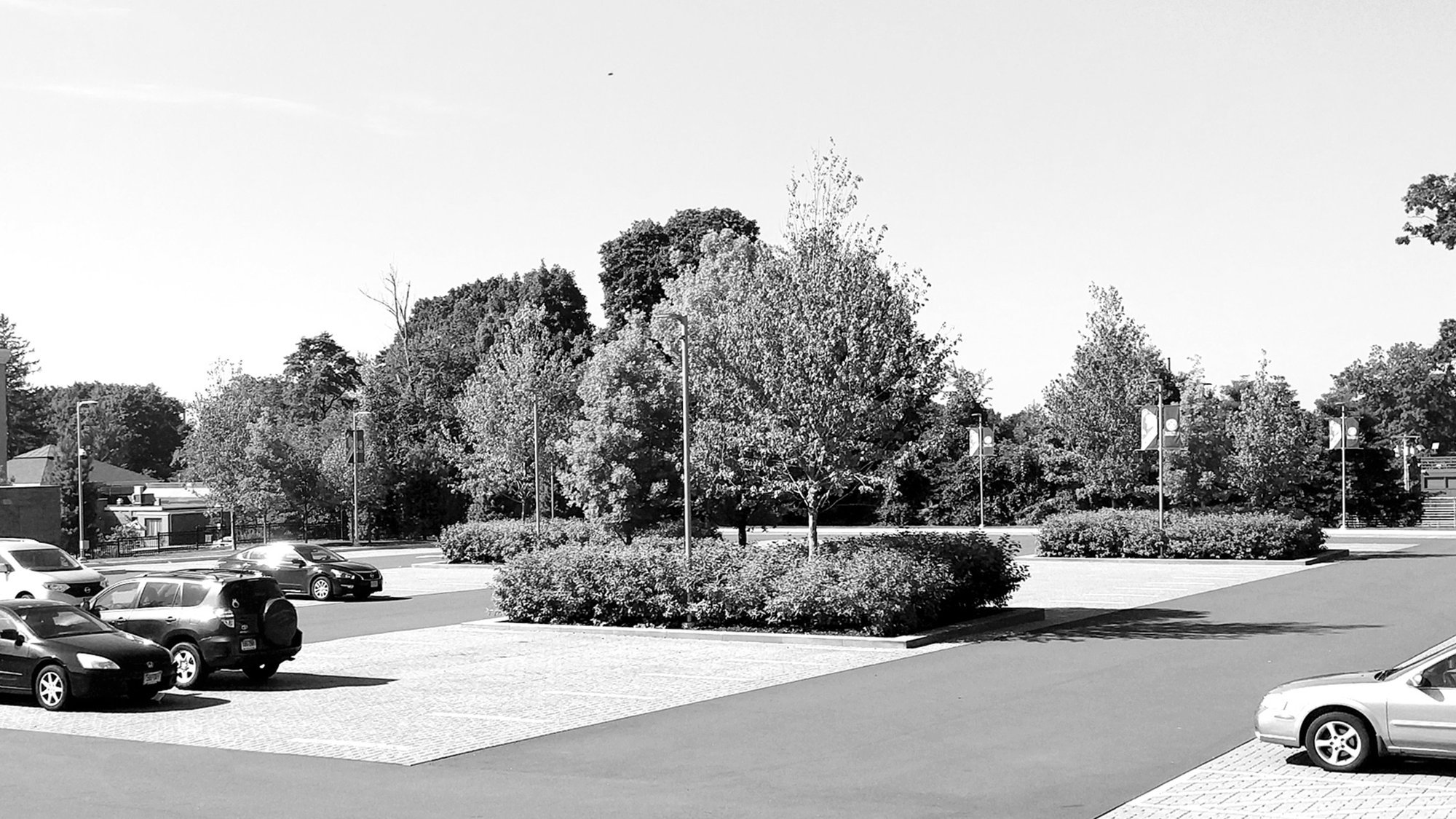 Sacred Heart University Business School Landscape — image 23 of 23