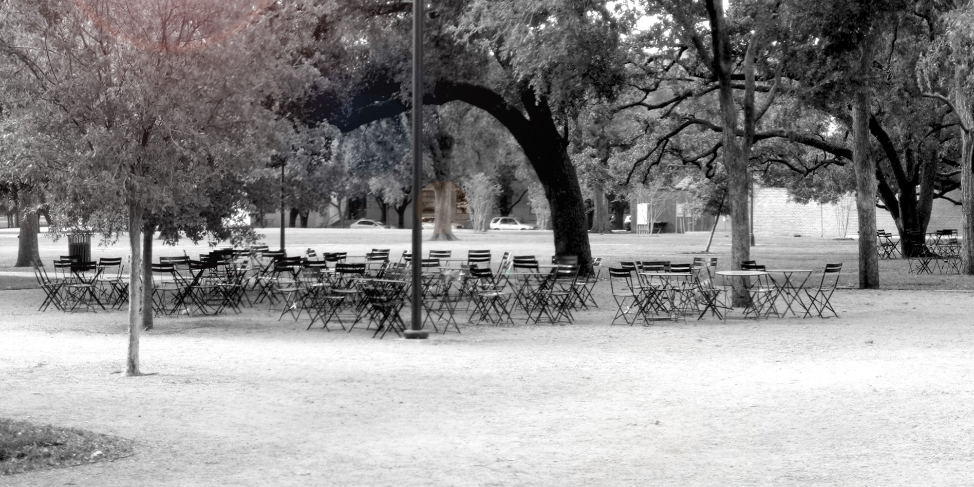 Rice University South Residential District Landscape — image 5 of 6