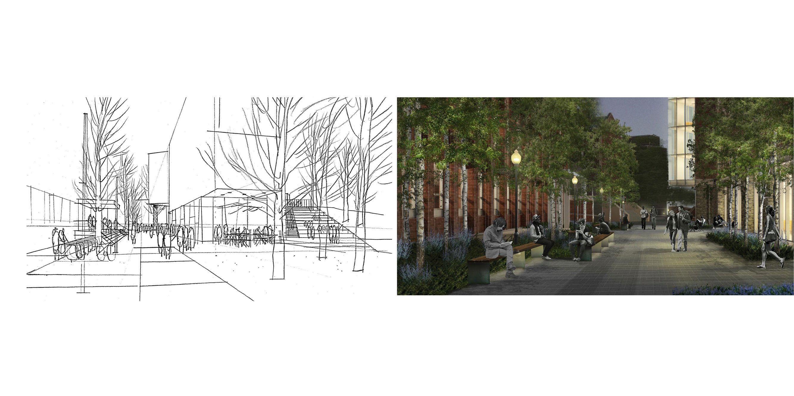 Georgetown Healy Lawn Restoration — image 16 of 18