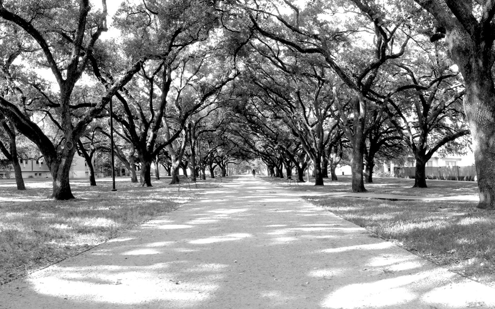 Rice University South Residential District Landscape
